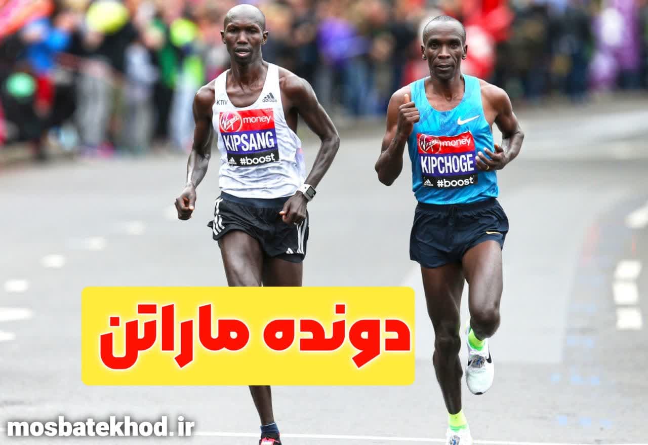 تنفس صحیح در ورزش: تکنیکها، تمرینها و نکات علمی برای بهبود عملکرد | رضا خزایی تنفس صحیح در ورزش: تکنیکها، تمرینها و نکات علمی برای بهبود عملکرد | رضا خزایی